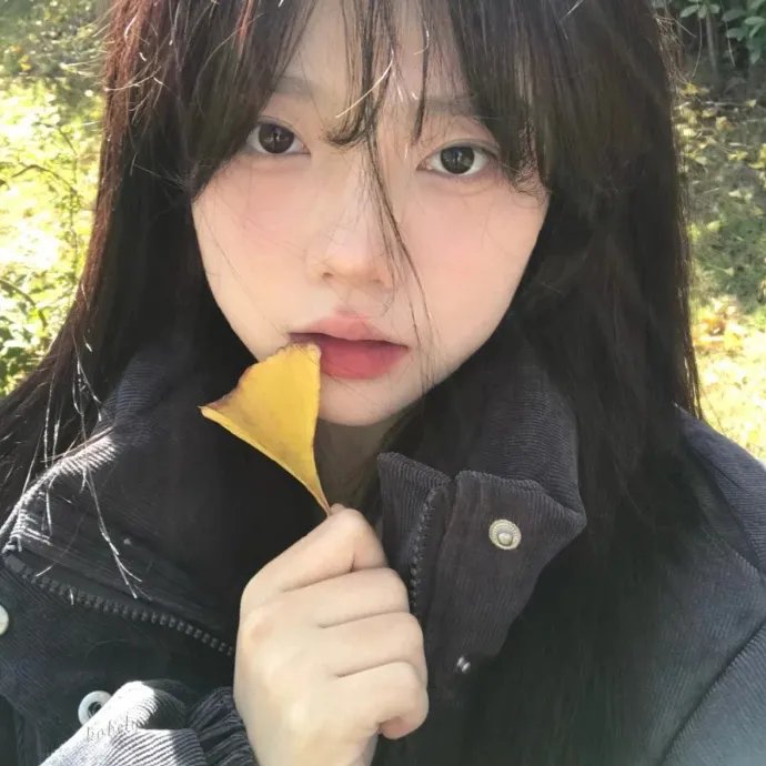 虞美人盛开的山坡